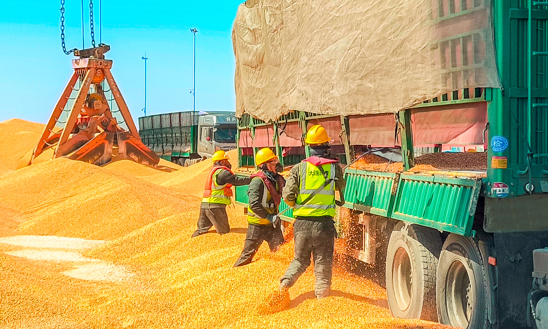 金秋时节，招商局集团旗下辽港集团各港区粮食作业现场机器轰鸣，金黄的粮食通过传送带源源不断地装入船舱，开启“北粮南运”新旅程。作为东北地区粮食南运的重要海上通道，辽港集团通过创新物流模式等举措，持续夯实“北粮南运”大通道枢纽地位，为保障国家粮食跨区域流通提供有力支撑。图为丹东港散粮码头分公司作业现场。 