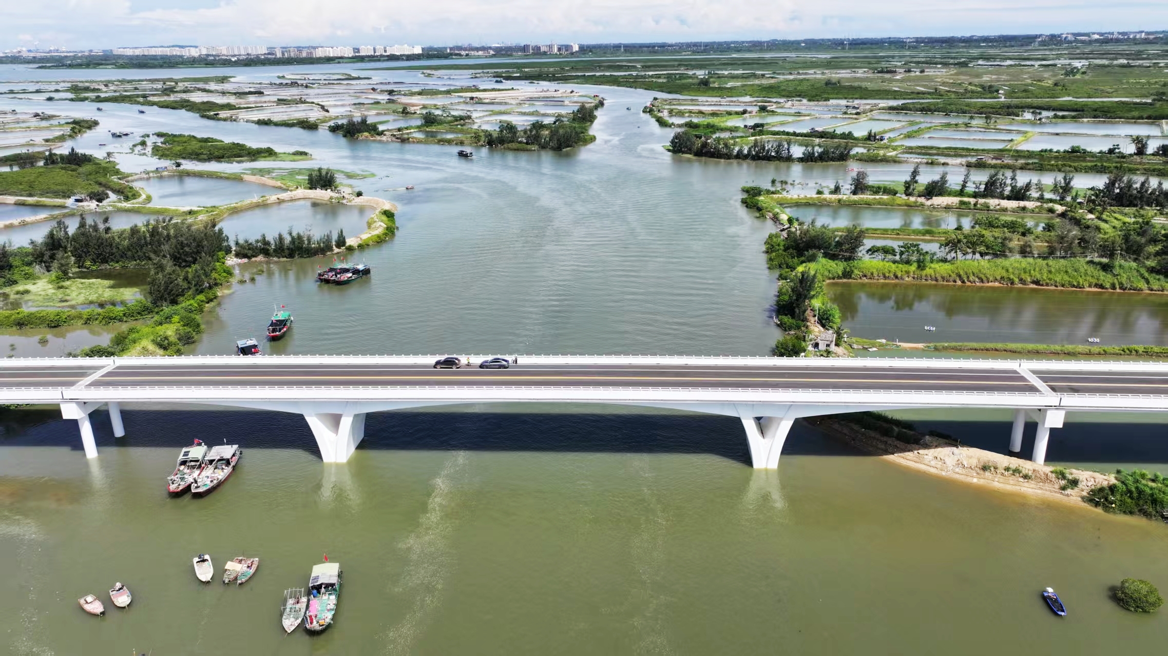 环新英湾支线建成后与海南环岛旅游公路主线、沈海高速形成互联互通，将进一步完善海南环岛旅游公路网络，为沿线特色农业、文旅产业协同发展搭建快速通道，有效降低区域物流成本，为海南自贸港西部片区的经济发展注入强劲动力。