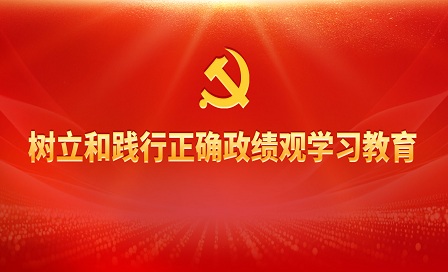 【专题】树立和践行正确政绩观学习教育