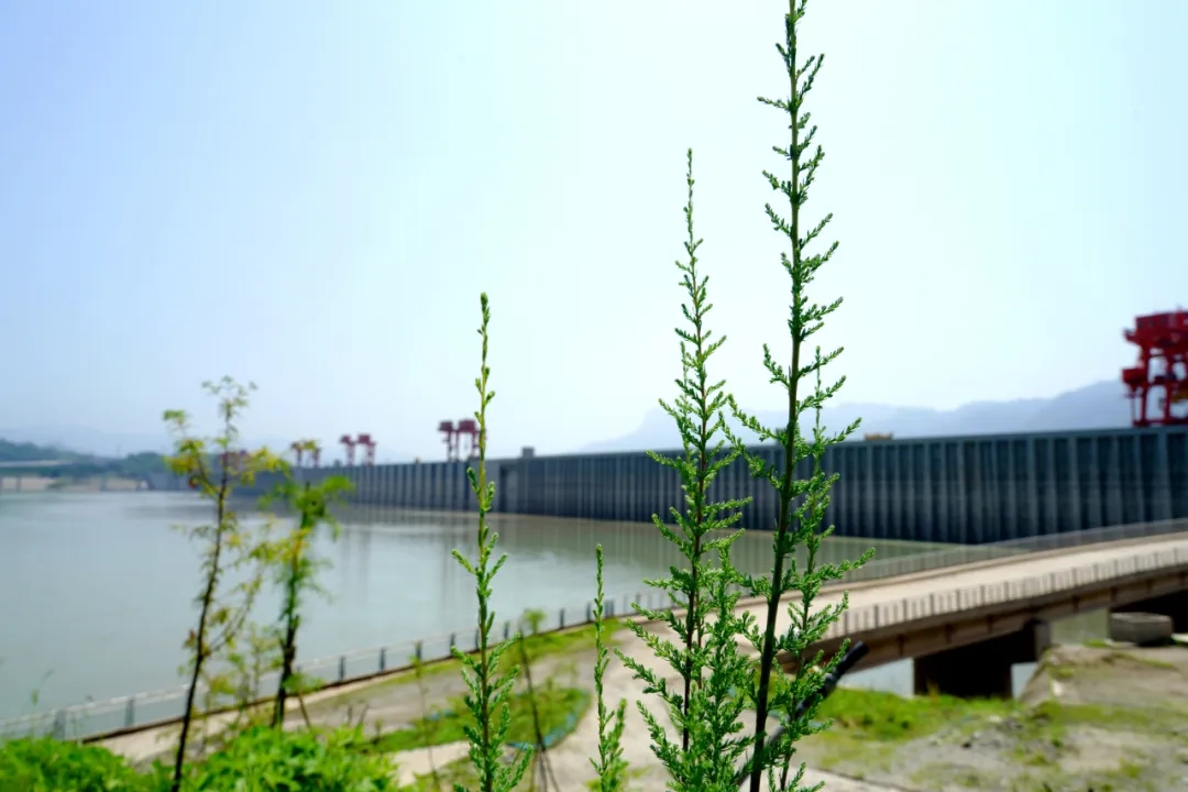 库区2.jpg