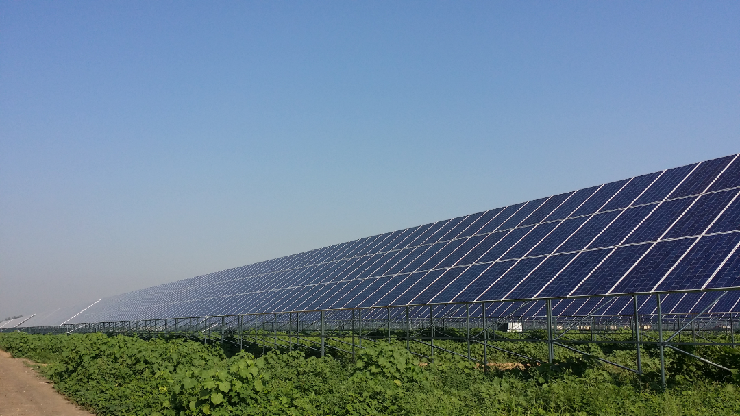 黄河保护7中节能太阳能汾阳50兆瓦光伏农业科技大棚电站项目.png